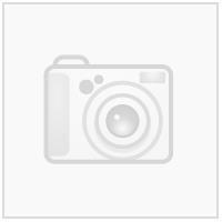 Everchill Icon stretch T-shirt MGRN M T-Skjorte i Bomull - Unisex